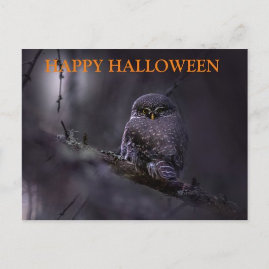 フクロウと過ごすハロウィンの夜 ポストカード (正面)
