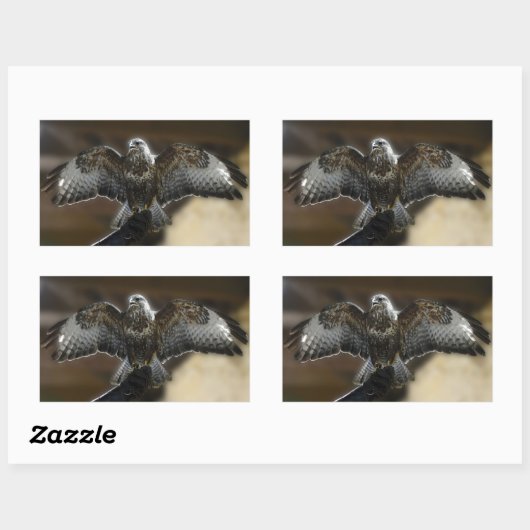 フクロウと野生動物の保護区から羽を出したタカ 長方形シール (シート)