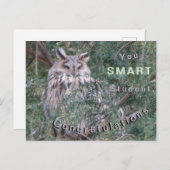 フクロウのお祝いポストカード ポストカード (正面/裏面)