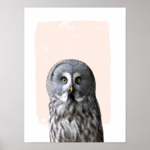 フクロウのぬいぐるみ壁画 動物の肖像