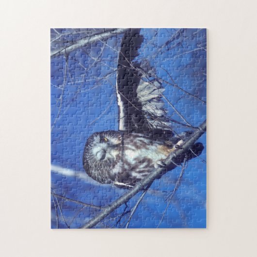 フクロウのまばたき ジグソーパズル (縦)