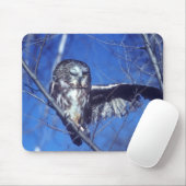 フクロウのまばたき マウスパッド (マウス)