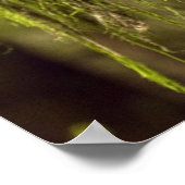 フクロウのオウム ポスター (角)