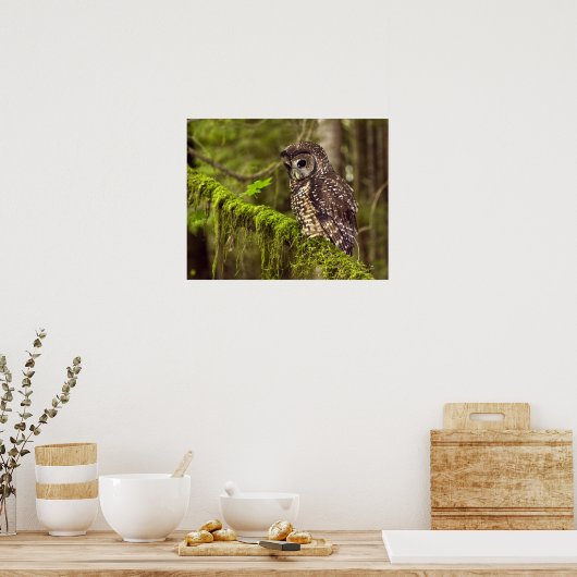 フクロウのオウム ポスター (キッチン)