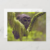 フクロウのオシデンタル ポストカード (正面/裏面)