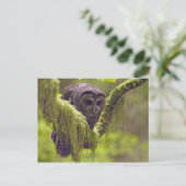 フクロウのオシデンタル ポストカード (スタンド正面)