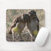 フクロウのカップルのマウスパッド マウスパッド (マウス)