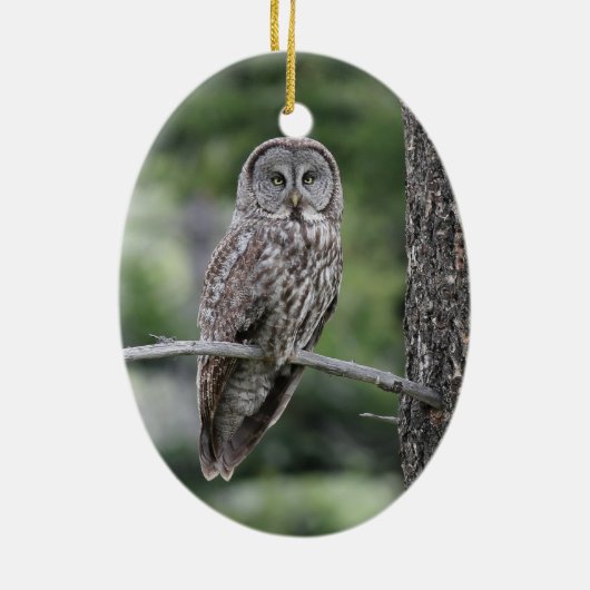 フクロウのクリスマスのオーナメント-カラフトフクロウ セラミックオーナメント (裏面)