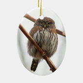 フクロウのクリスマスのオーナメント-北のピグミーフクロウ セラミックオーナメント (裏面)