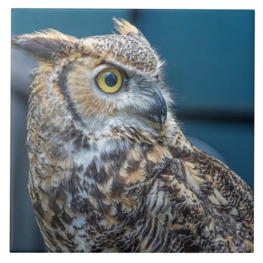 フクロウのクローズアップビューのセラミックタイル タイル (正面)