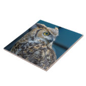 フクロウのクローズアップビューのセラミックタイル タイル (側面)