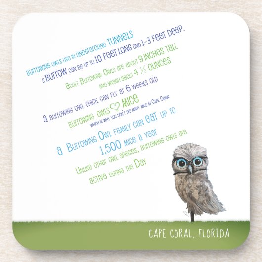 フクロウのコースターを掘り進むこと コースター (正面)