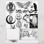 フクロウのゴージャスな白黒のラインアートスケッチ (正面)