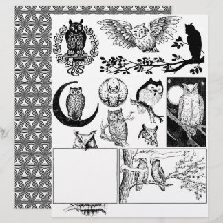 フクロウのゴージャスな白黒のラインアートスケッチ