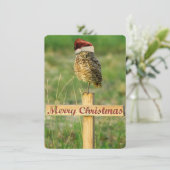 フクロウのサンタのクリスマスカードを掘り進むこと シーズンカード (スタンド正面)