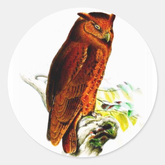 フクロウのシール ラウンドシール (正面)
