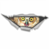 フクロウのシール、車のデカール、ビニールデカール、車の装飾 シール (正面)