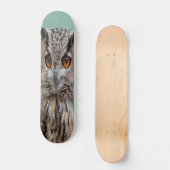フクロウのスケートボード スケートボード (正面)