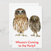 フクロウのデュオ 招待状 (正面/裏面)