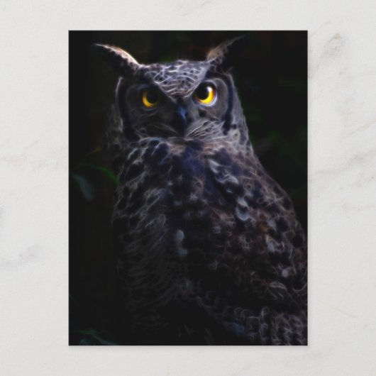 フクロウのハロウィン ポストカード (正面)