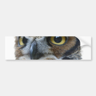フクロウのバンパーステッカー バンパーステッカー