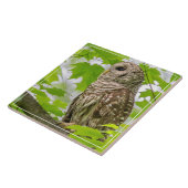 フクロウのバーレッド縦断 タイル (側面)