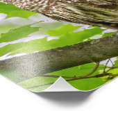 フクロウのバーレッド縦断 フォトプリント            (角)