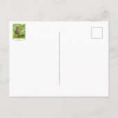 フクロウのバーレッド縦断 ポストカード (裏面)