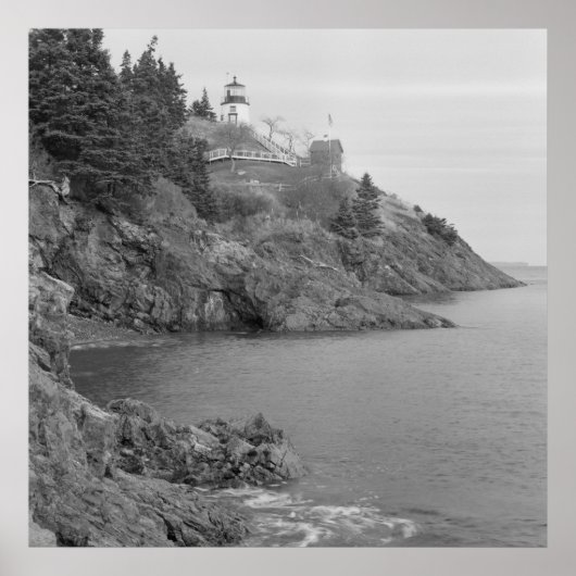 フクロウのヘッドライト ポスター (正面)