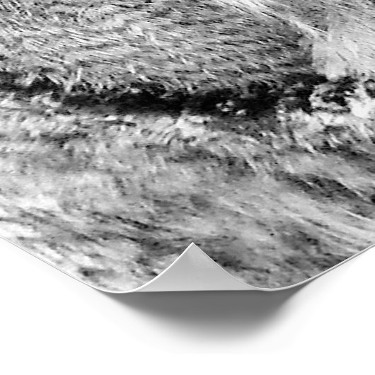 フクロウのポスター ポスター (角)