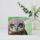 フクロウのポストカード ポストカード (スタンド正面)