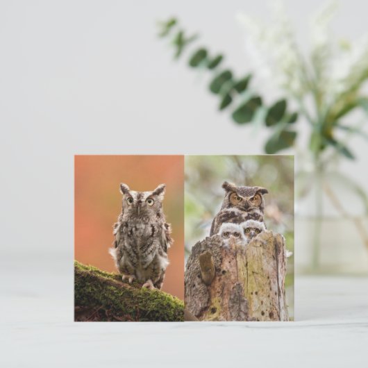 フクロウのポストカード ポストカード (スタンド正面)