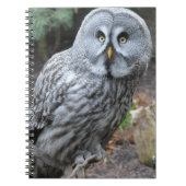 フクロウのポートレートの写真 ノートブック (正面)