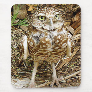 フクロウのマウスパッドを掘り進むこと マウスパッド