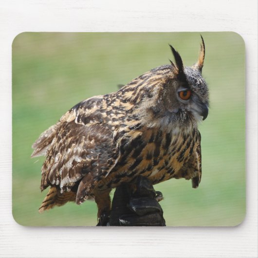 フクロウのマウスパッド マウスパッド (正面)