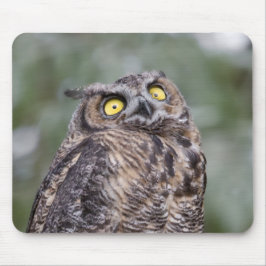 フクロウのマウスパッド マウスパッド