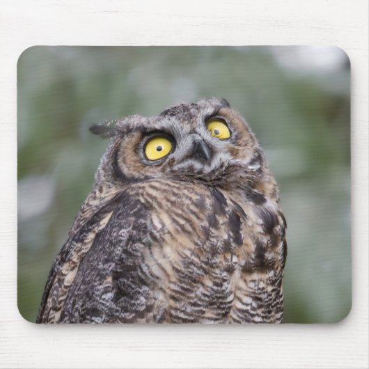 フクロウのマウスパッド マウスパッド (正面)