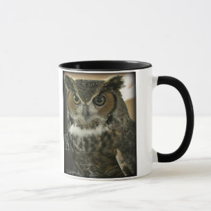フクロウのマグの二つのイメージのテンプレート マグカップ