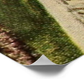 フクロウのヴィンテージイラストレーション（1912年） ポスター (角)