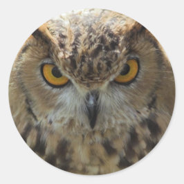 フクロウの写真のステッカー ラウンドシール