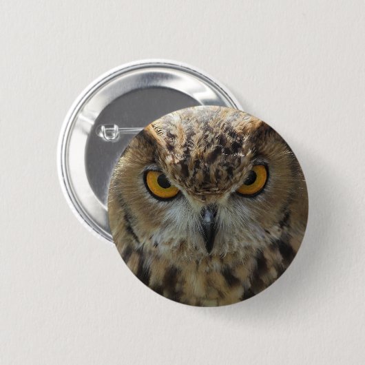 フクロウの写真の円形ボタン 缶バッジ (正面&裏面)