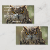 フクロウの写真の名刺 名刺 (正面/裏面)
