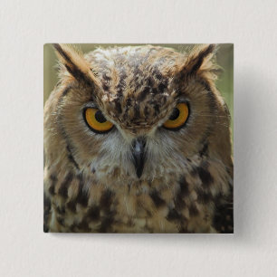 フクロウの写真の正方形Pin 缶バッジ
