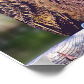 フクロウの写真ポスター ポスター (角)