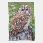 フクロウの写真 キッチンタオル (縦)