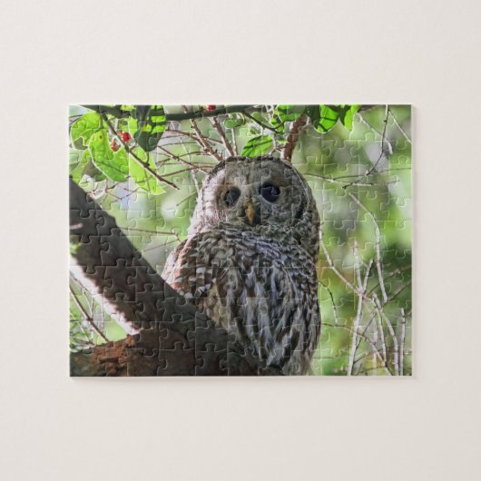 フクロウの写真 ジグソーパズル (横)