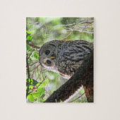 フクロウの写真 ジグソーパズル (縦)