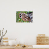 フクロウの写真 ポスター (キッチン)