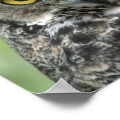 フクロウの写真 ポスター (角)