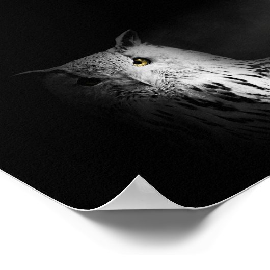 フクロウの写真 ポスター (角)